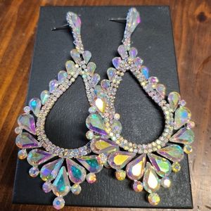 Large Dangle Earrings